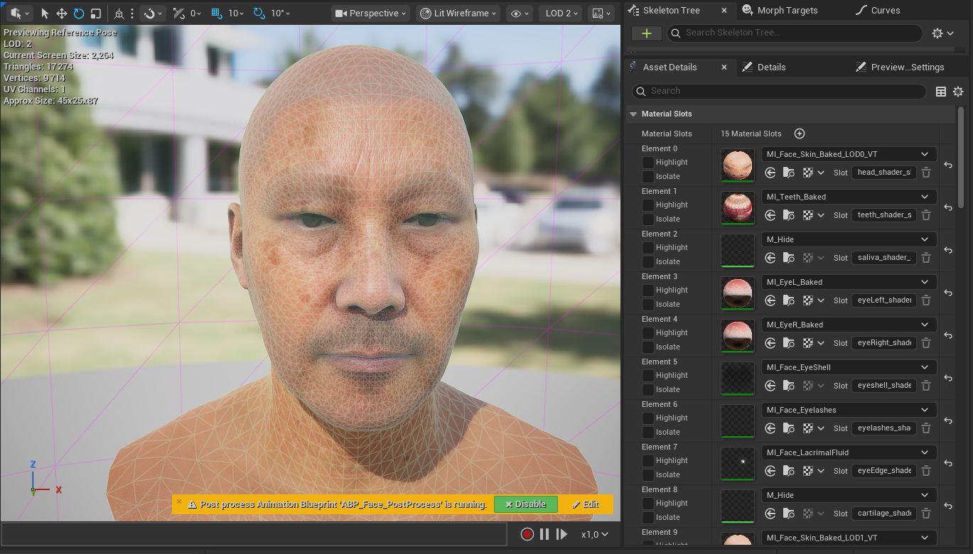 Skeletal Mesh Editor LODs and triangle count