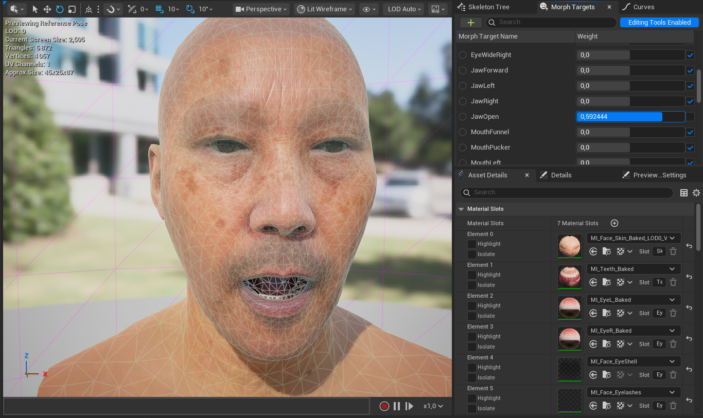 Output mesh open in the Skeletal Mesh Editor, with the morph target list visible